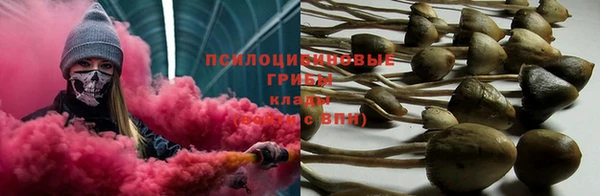 дмт Белоозёрский
