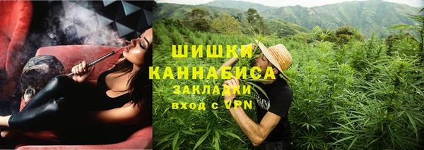 молекула духа Белокуриха