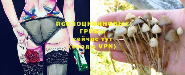 дмт Белоозёрский