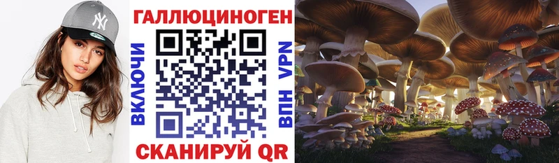 Галлюциногенные грибы MAGIC MUSHROOMS  цена   Городище 